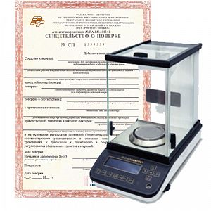 Поверка сило- и весоизмерительных приборов